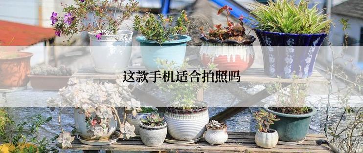 这款手机适合拍照吗