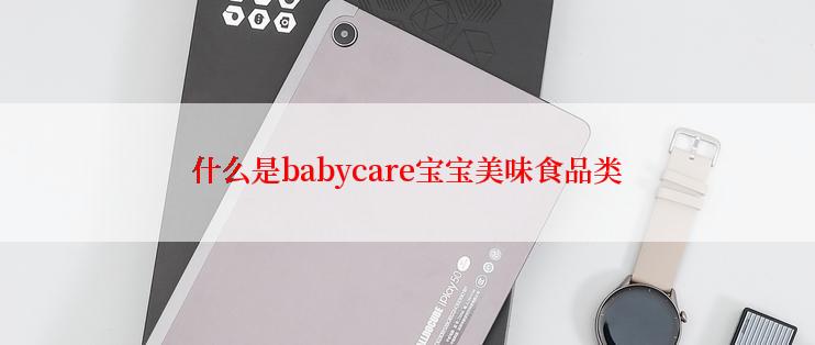 什么是babycare宝宝美味食品类