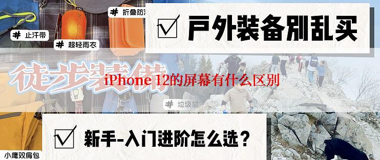  iPhone 12的屏幕有什么区别