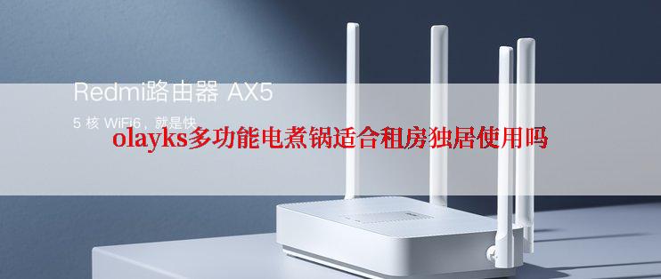 olayks多功能电煮锅适合租房独居使用吗