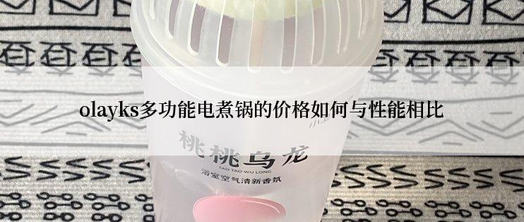 olayks多功能电煮锅的价格如何与性能相比