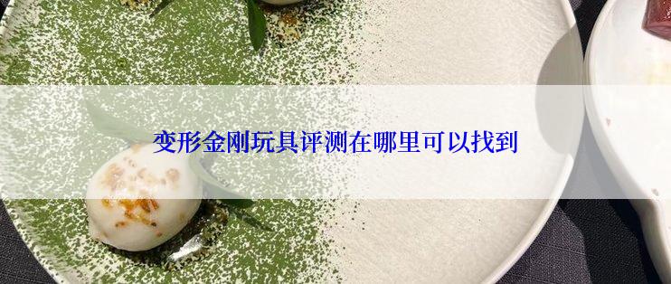 变形金刚玩具评测在哪里可以找到