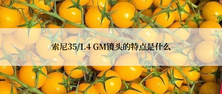 索尼35/1.4 GM镜头的特点是什么