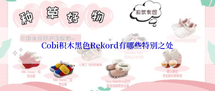 Cobi积木黑色Rekord有哪些特别之处