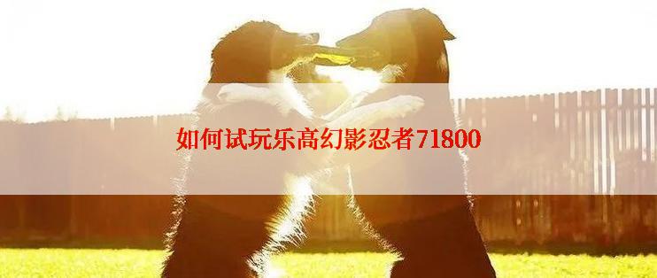 如何试玩乐高幻影忍者71800