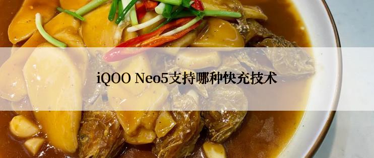 iQOO Neo5支持哪种快充技术