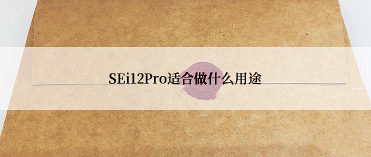 SEi12Pro适合做什么用途