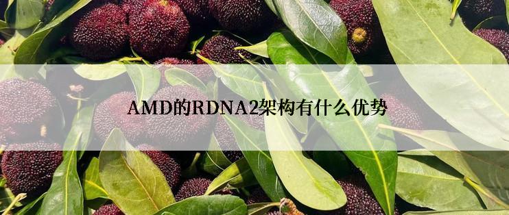  AMD的RDNA2架构有什么优势