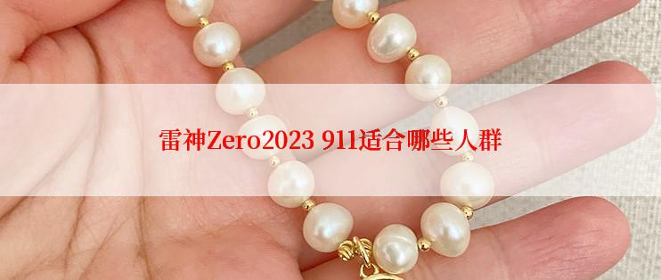 雷神Zero2023 911适合哪些人群