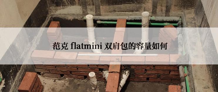  范克 flatmini 双肩包的容量如何