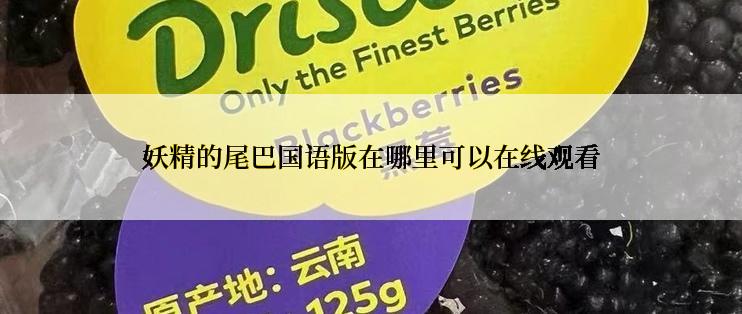 妖精的尾巴国语版在哪里可以在线观看