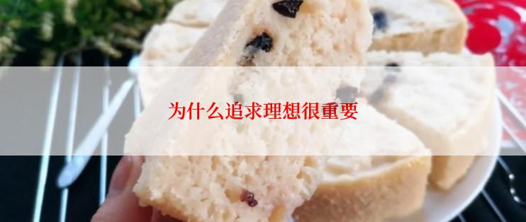 为什么追求理想很重要