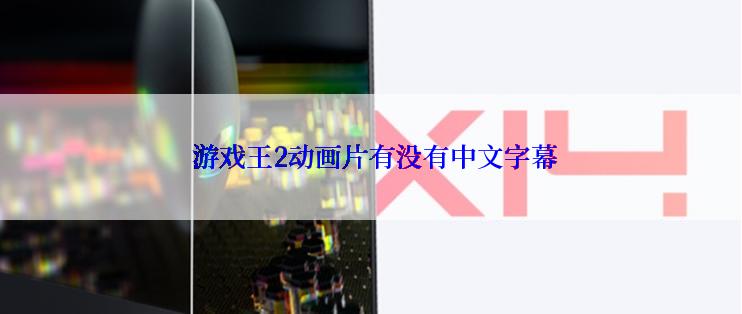  游戏王2动画片有没有中文字幕