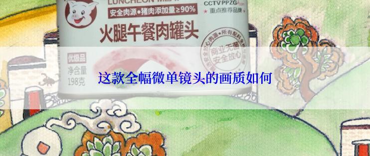 这款全幅微单镜头的画质如何