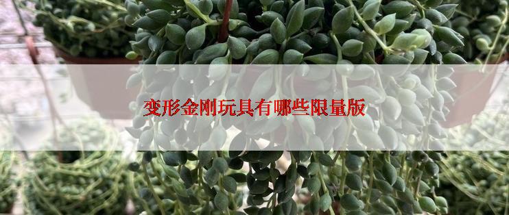 变形金刚玩具有哪些限量版