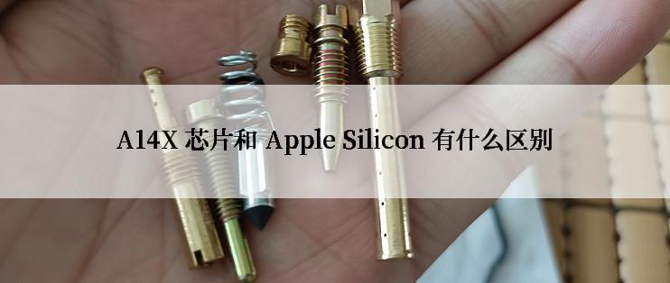 A14X 芯片和 Apple Silicon 有什么区别