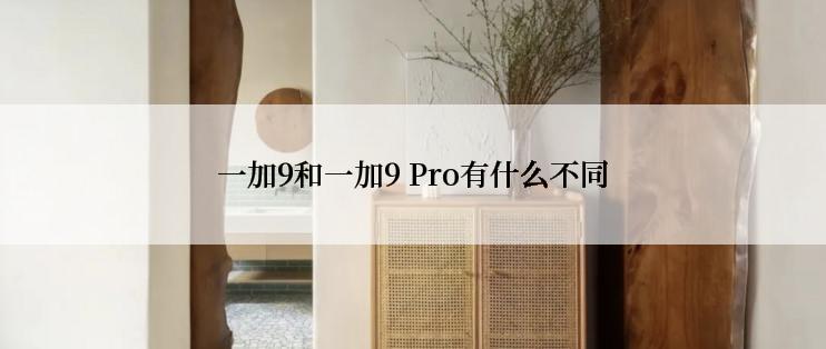 一加9和一加9 Pro有什么不同