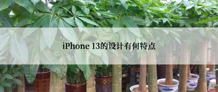 iPhone 13的设计有何特点