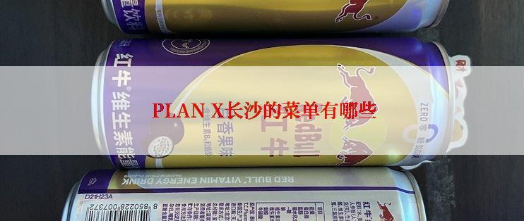  PLAN X长沙的菜单有哪些