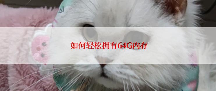  如何轻松拥有64G内存