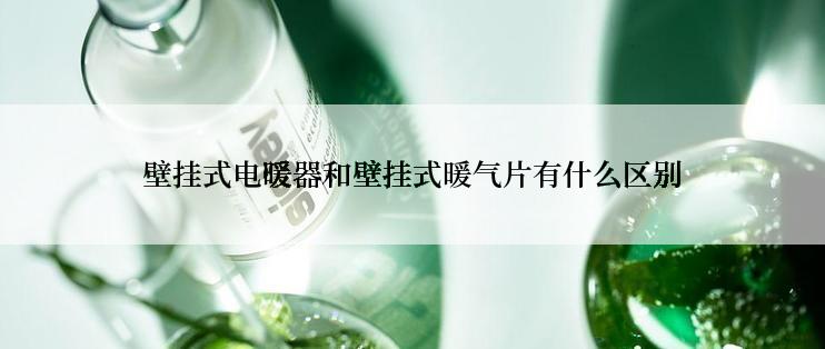 壁挂式电暖器和壁挂式暖气片有什么区别