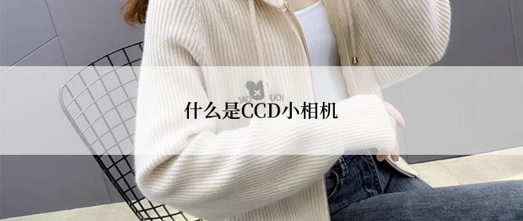 什么是CCD小相机