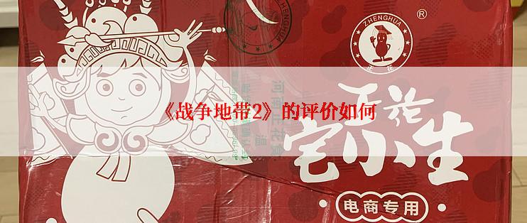  《战争地带2》的评价如何