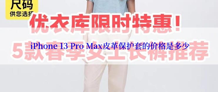  iPhone 13 Pro Max皮革保护套的价格是多少