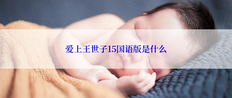 爱上王世子15国语版是什么