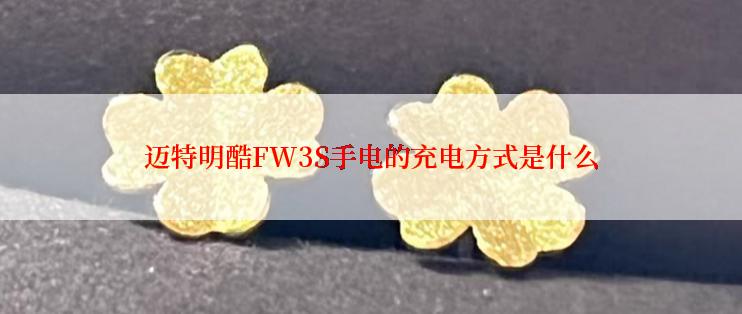 迈特明酷FW3S手电的充电方式是什么