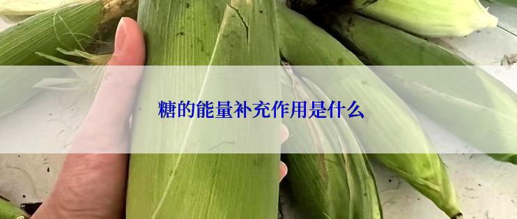  糖的能量补充作用是什么