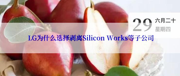  LG为什么选择剥离Silicon Works等子公司