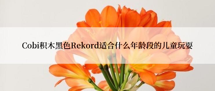 Cobi积木黑色Rekord适合什么年龄段的儿童玩耍