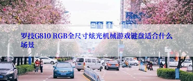 罗技G810 RGB全尺寸炫光机械游戏键盘适合什么场景