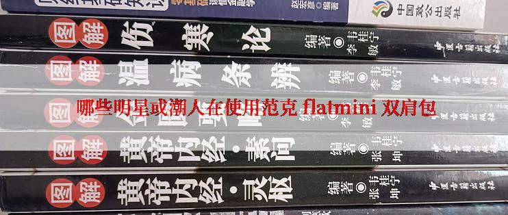  哪些明星或潮人在使用范克 flatmini 双肩包