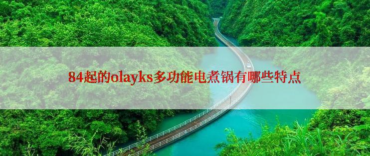 84起的olayks多功能电煮锅有哪些特点