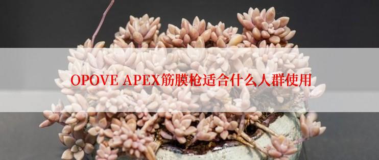  OPOVE APEX筋膜枪适合什么人群使用