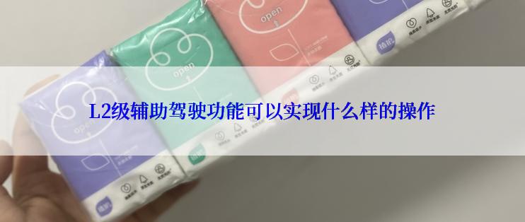 L2级辅助驾驶功能可以实现什么样的操作