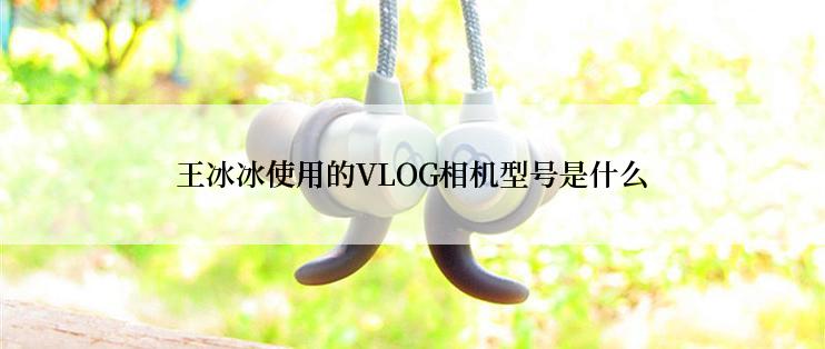 王冰冰使用的VLOG相机型号是什么