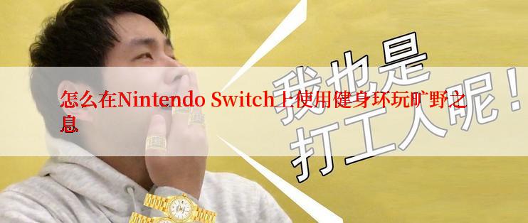 怎么在Nintendo Switch上使用健身环玩旷野之息