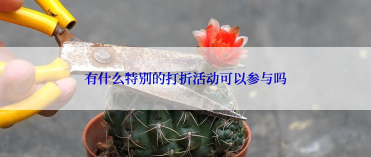 有什么特别的打折活动可以参与吗