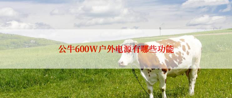 公牛600W户外电源有哪些功能