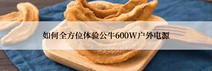 如何全方位体验公牛600W户外电源