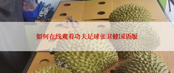 如何在线观看功夫足球张卫健国语版