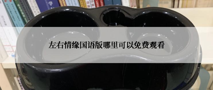 左右情缘国语版哪里可以免费观看