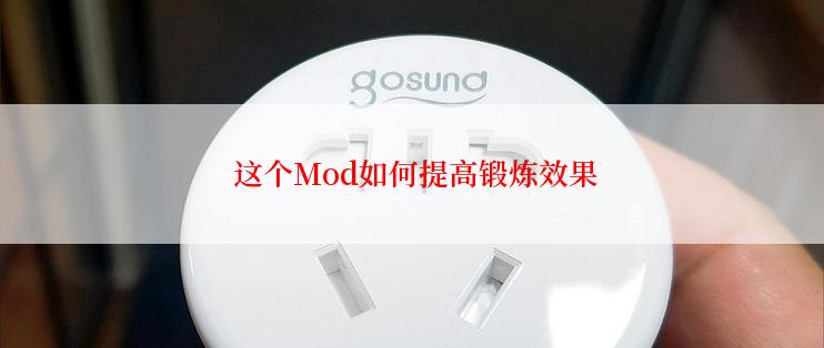  这个Mod如何提高锻炼效果