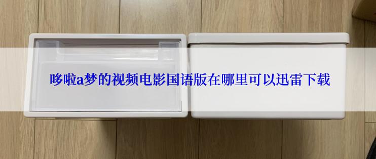  哆啦a梦的视频电影国语版在哪里可以迅雷下载