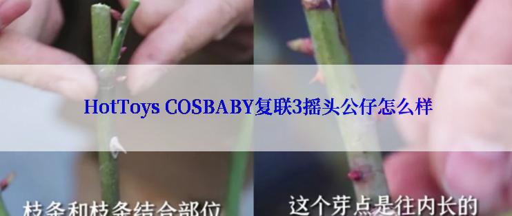  HotToys COSBABY复联3摇头公仔怎么样