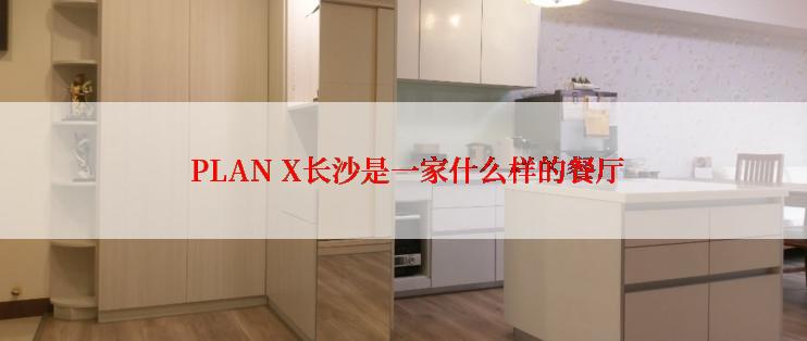  PLAN X长沙是一家什么样的餐厅