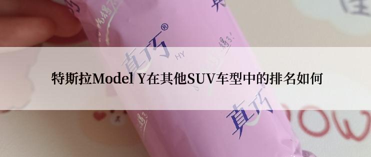  特斯拉Model Y在其他SUV车型中的排名如何